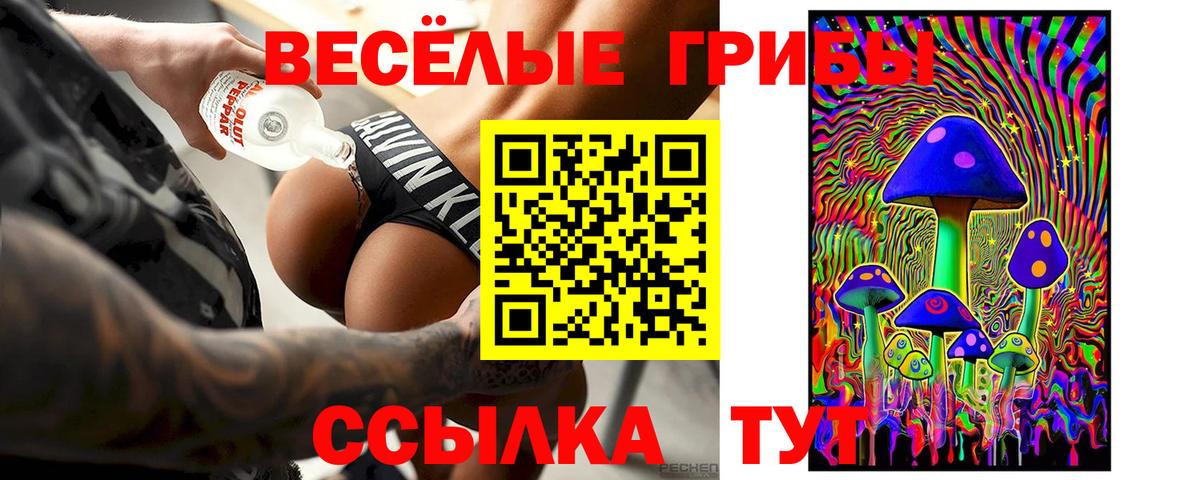 Галлюциногенные грибы GOLDEN TEACHER Ликино-Дулёво
